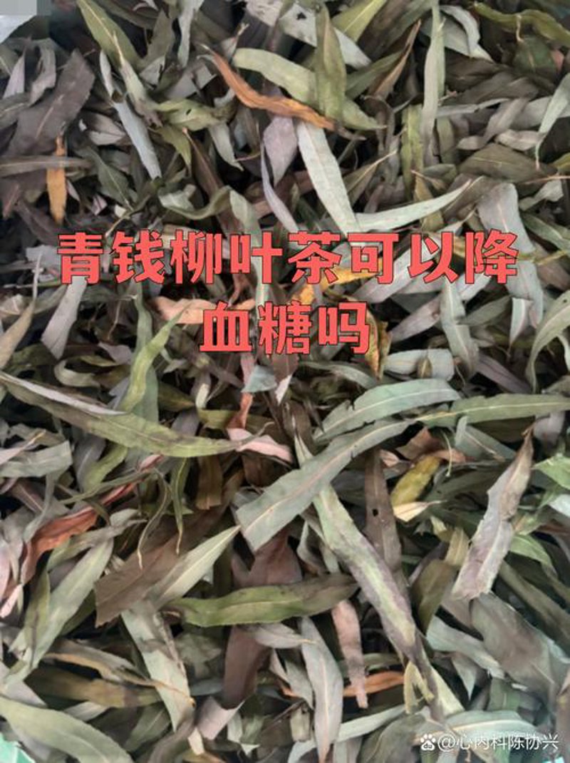如何优雅品尝青钱柳茶？新手指南助您入门